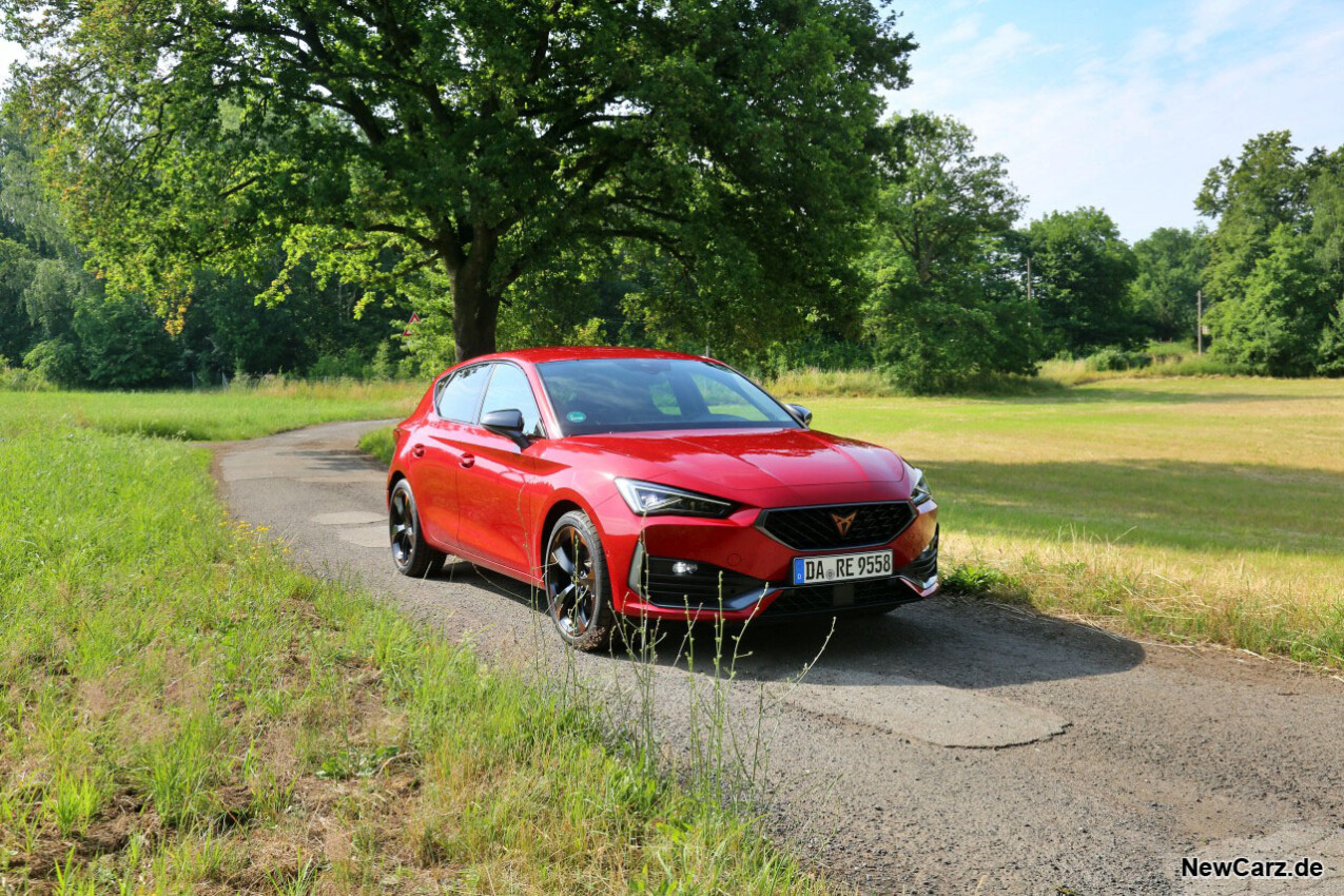 Cupra Leon 1.5 eTSI schräg vorne rechts