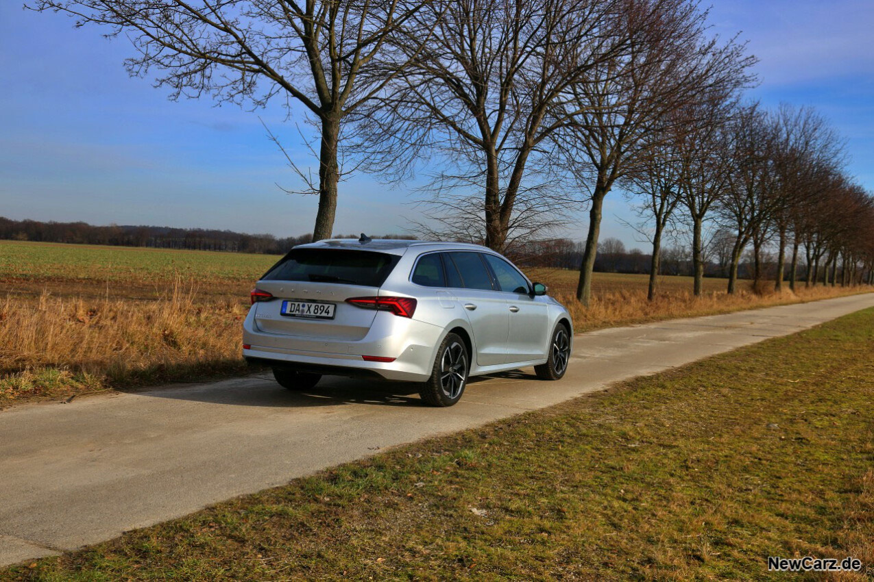 Skoda Octavia Combi TDI schräg hinten rechts