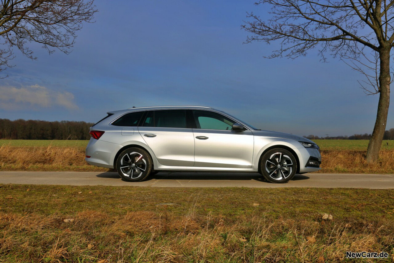 Skoda Octavia Combi TDI Seite rechts