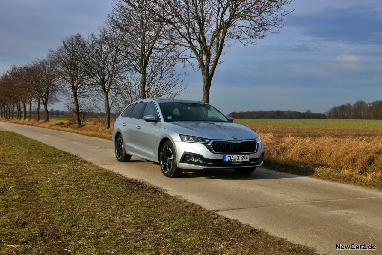 Skoda Octavia Combi TDI schräg vorne rechts 2