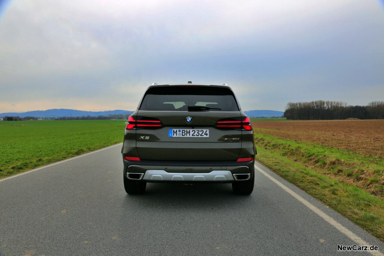 BMW X5 xDrive30d Heck