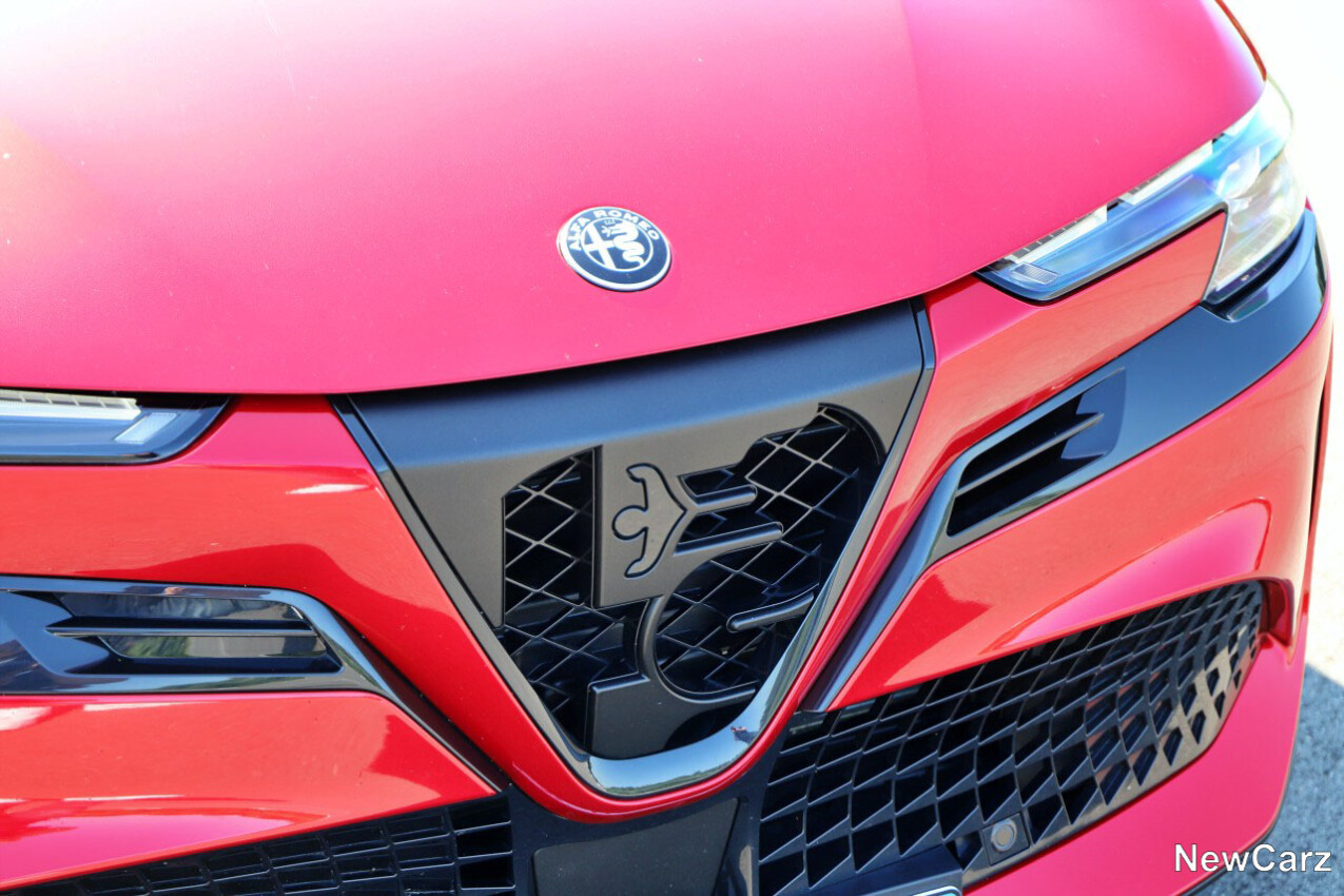 Frontgrill Alfa Romeo Junior Veloce