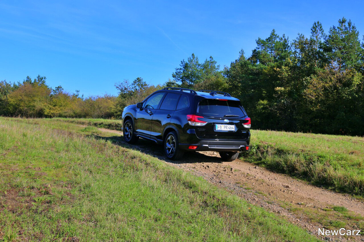 Subaru Forester Edition Black auf Feldweg