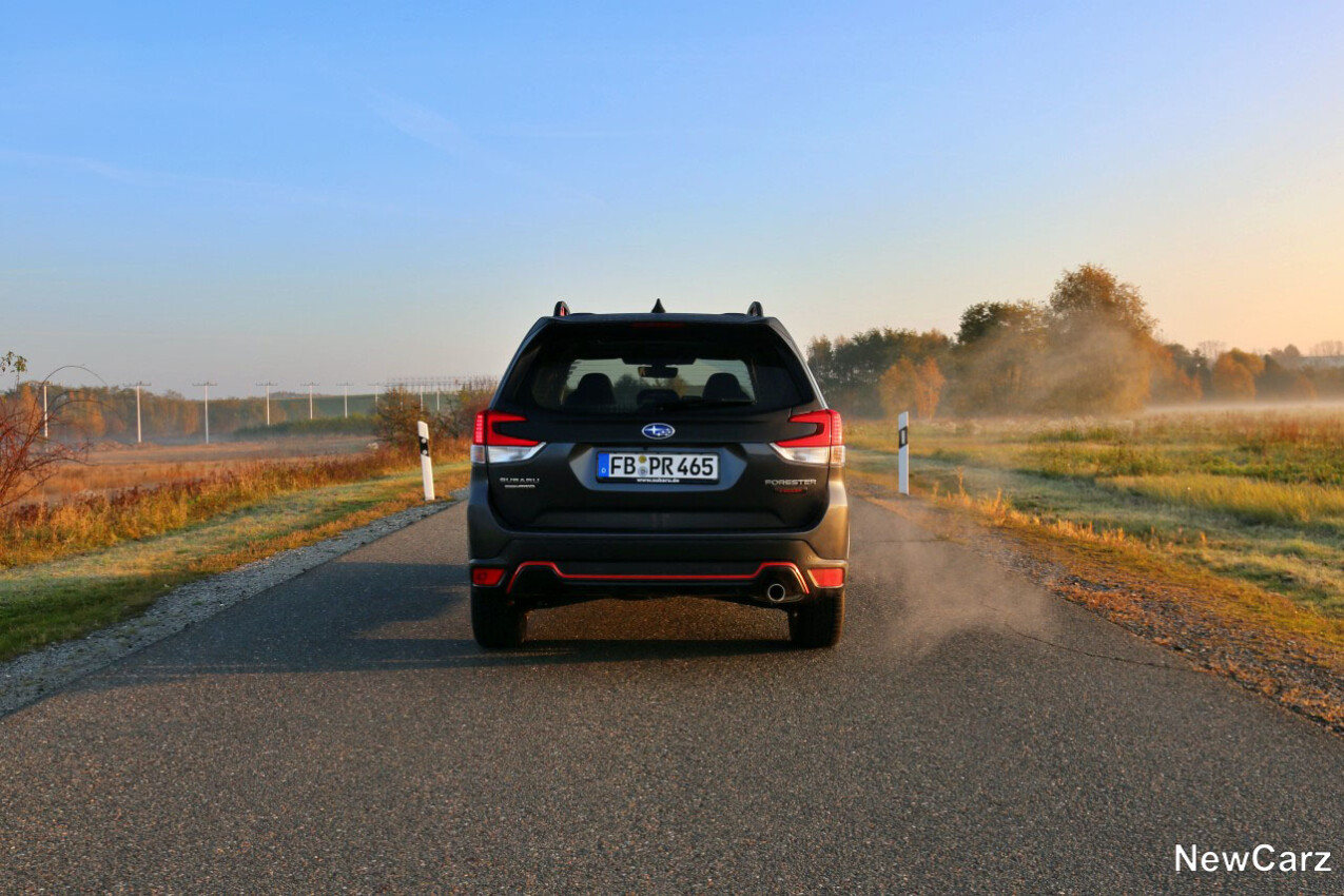 Subaru Forester Edition Exclusive Cross Heckbereich