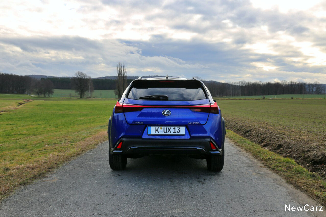 Lexus UX 300h Heck