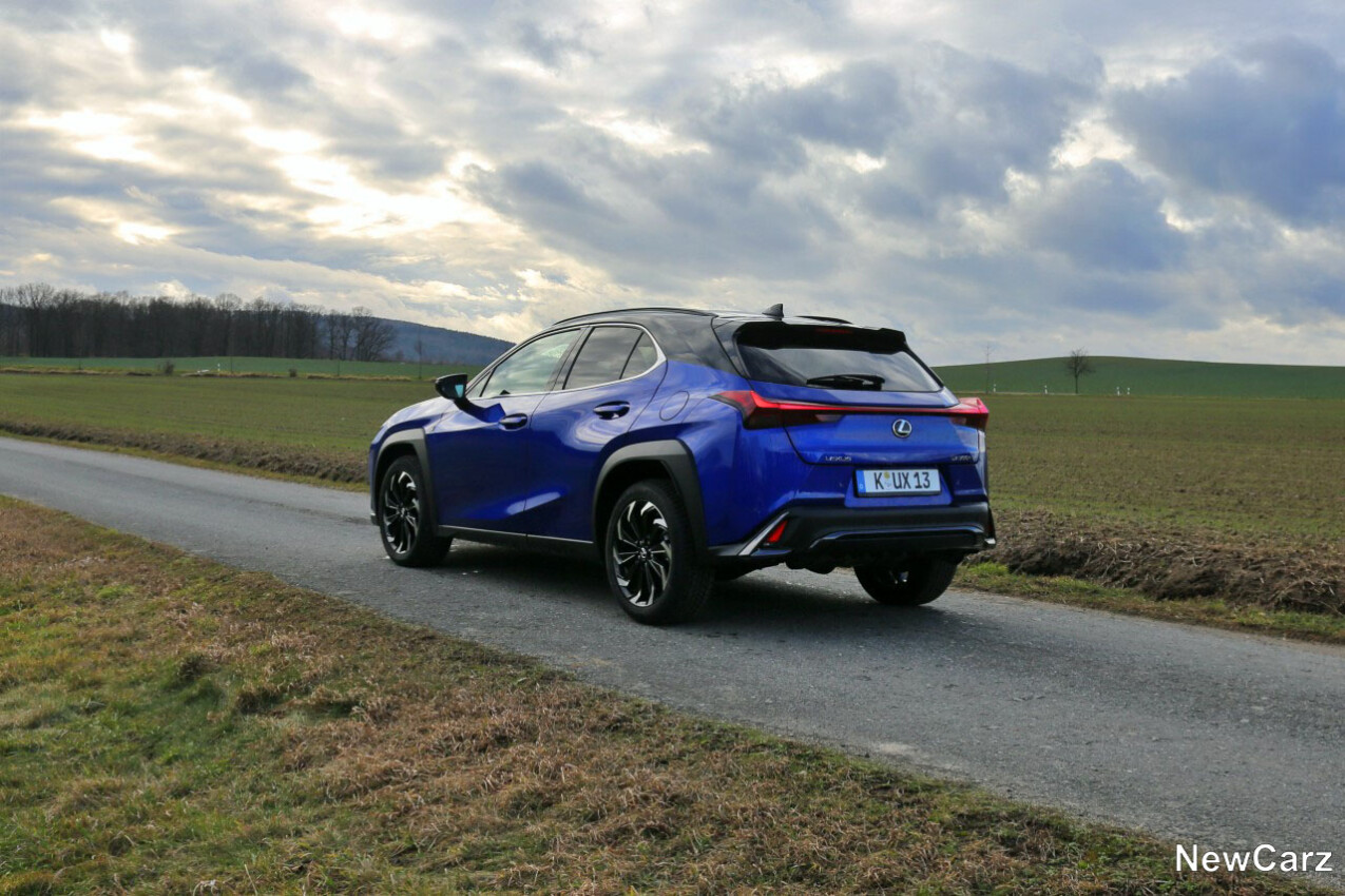 Lexus UX 300h schräg hinten links