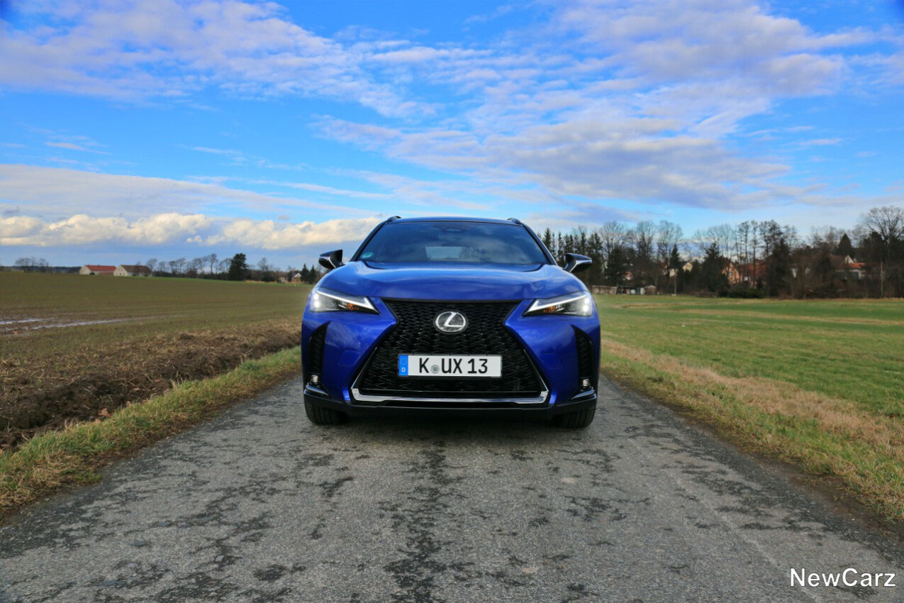 Lexus UX 300h vorne