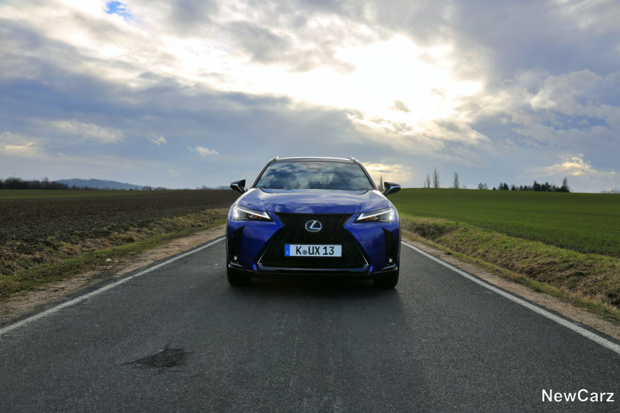 Lexus UX 300h Front