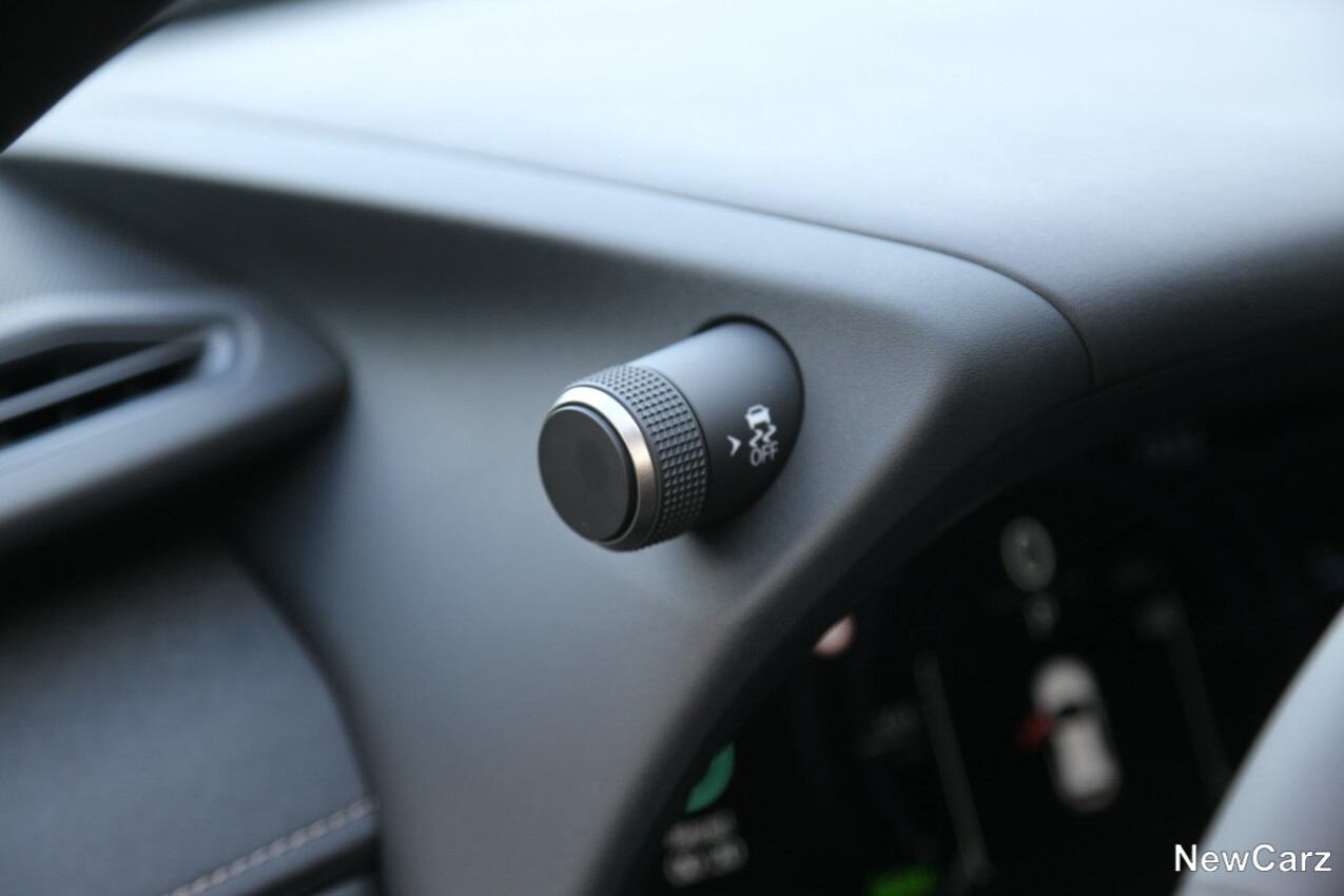 Lexus UX 300h ESC-Hörnchen