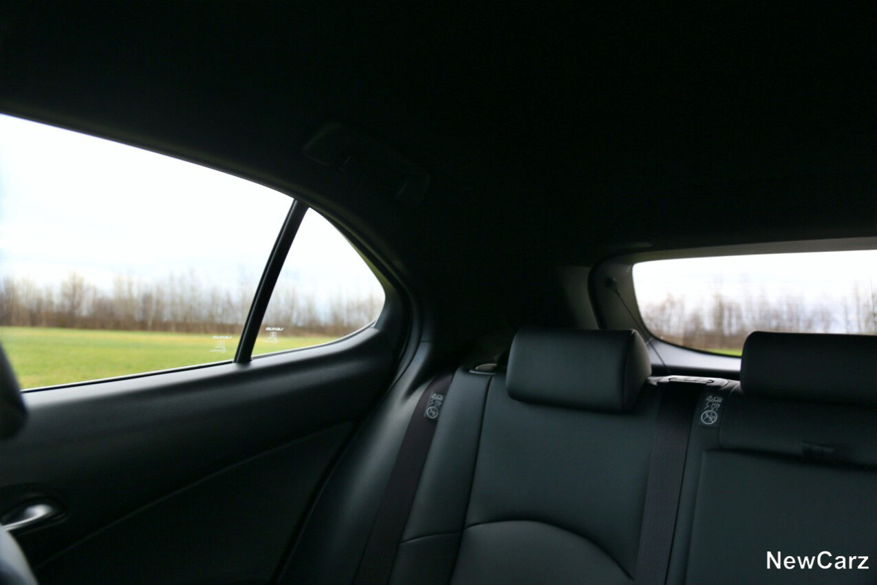 Lexus UX 300h C-Säule