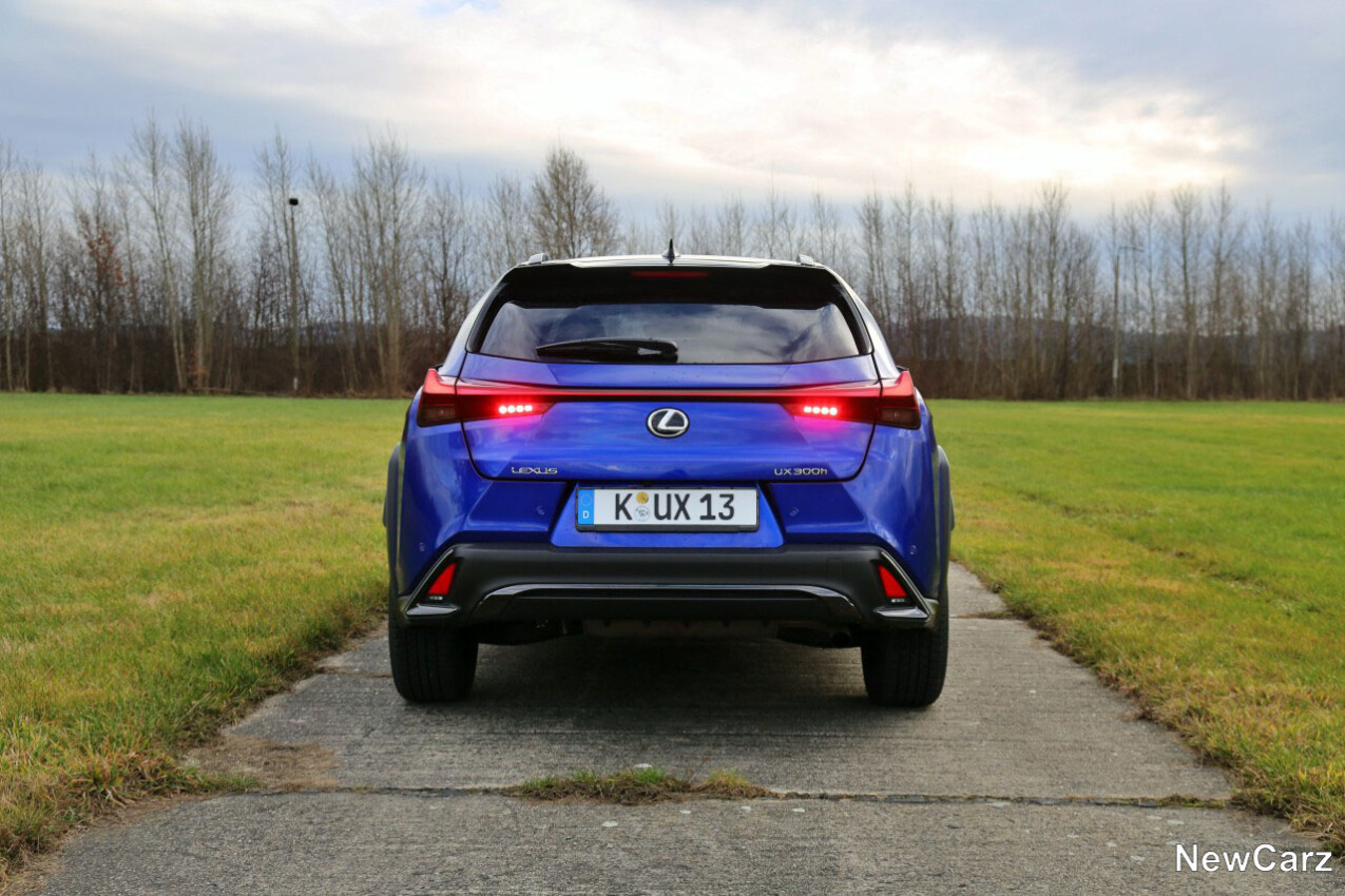 Lexus UX 300h hinten