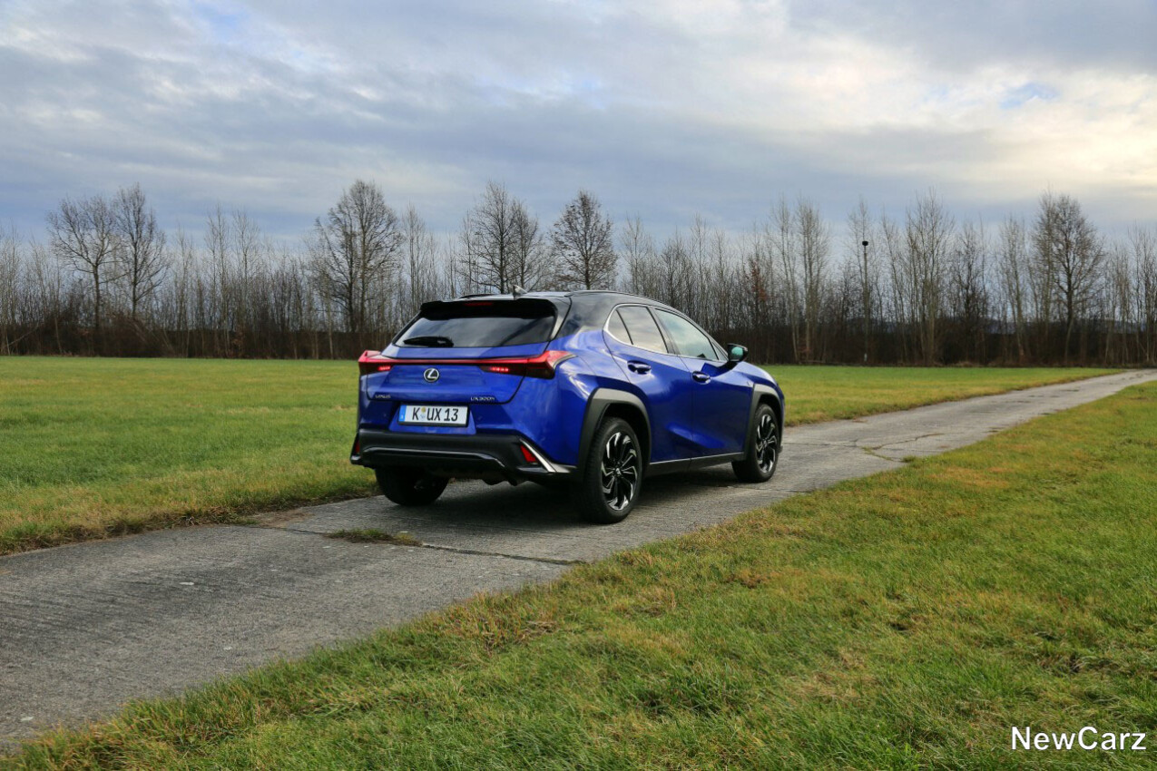 Lexus UX 300h schräg hinten