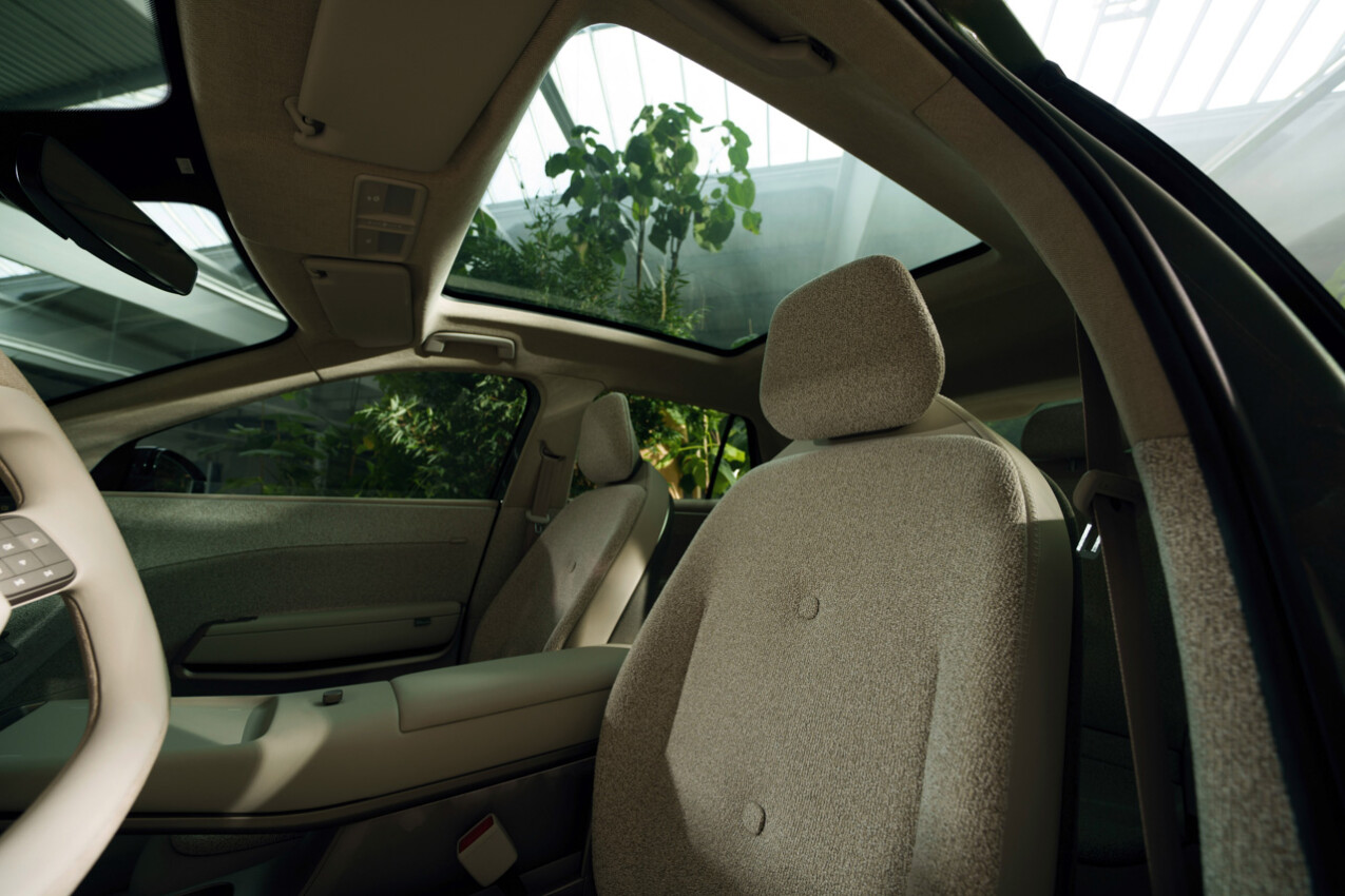 VW ID.Cross Concept Panoramadach