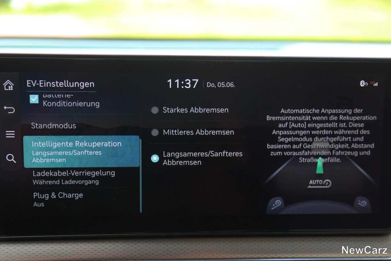 Genesis GV60 Rekuperation