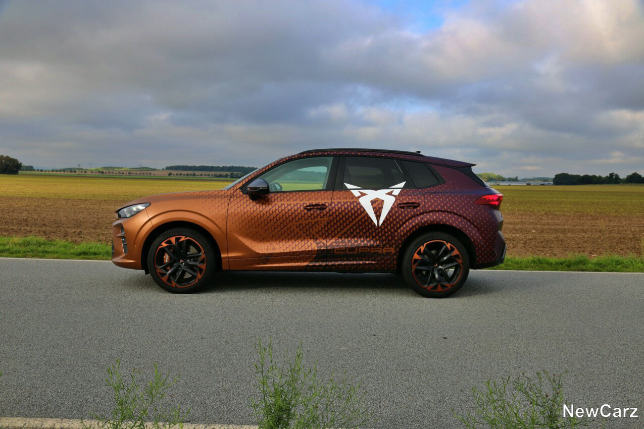 Cupra Terramar VZ Abt Seite links