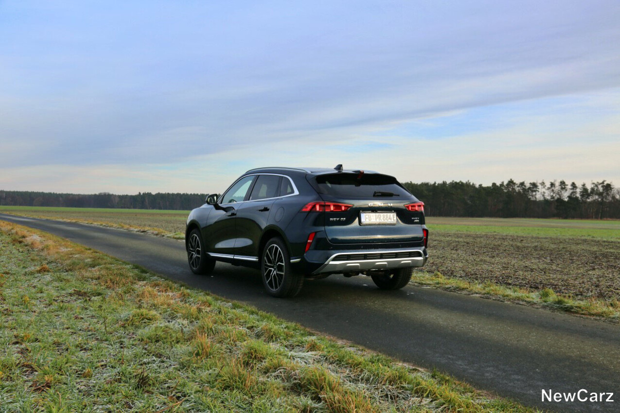 GWM Wey 05 hinten links