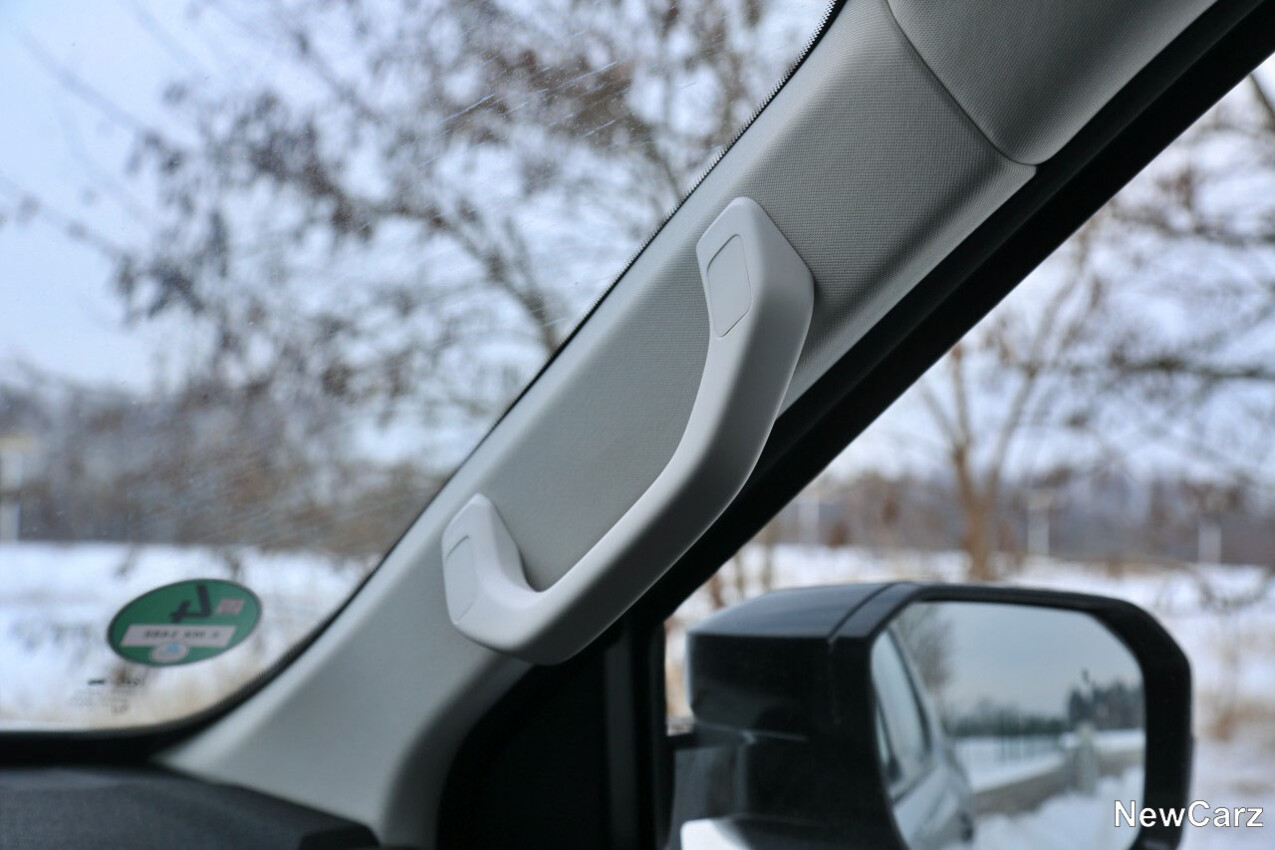 Maxus eTerron 9 Haltegriff