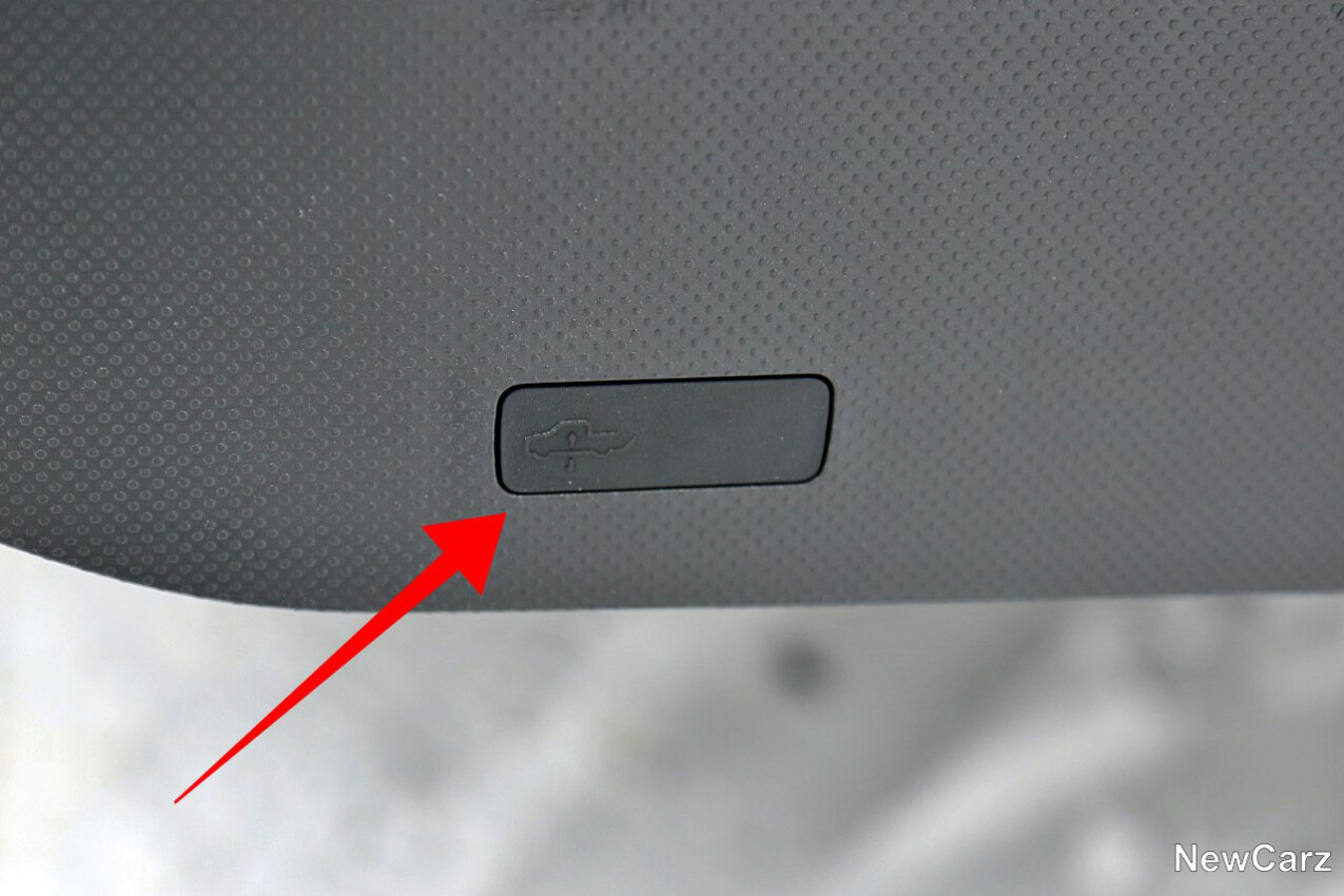 Maxus eTerron 9 Niveauregulierung