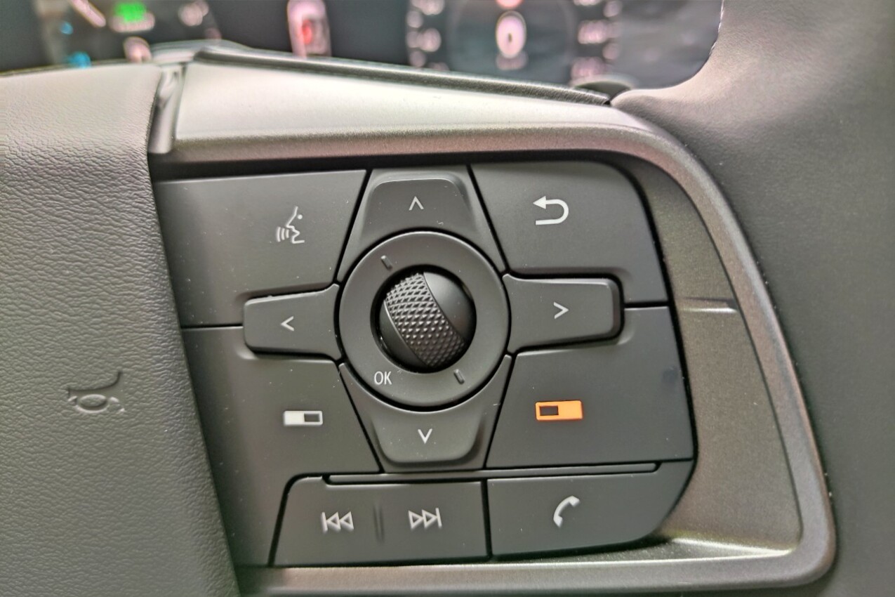 Nissan Leaf III Lenkrad Detail
